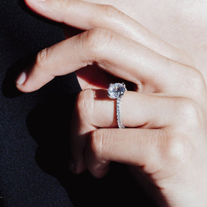 
          
          Load image into Gallery viewer, Nicola Lab Created Diamond Round Pave Diamonds White Gold Ring
          
          
